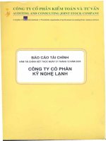 Báo cáo tài chính năm 2005 (đã kiểm toán) - Công ty Cổ phần Kỹ Nghệ Lạnh