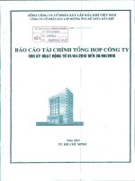 Báo cáo tài chính quý 2 năm 2013 - Công ty Cổ phần Xây lắp Đường ống Bể chứa Dầu khí