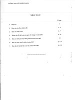 Báo cáo tài chính năm 2007 - Công ty Cổ phần Tập đoàn Sara