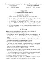 Nghị quyết đại hội cổ đông ngày 7-9-2010 - Công ty Cổ phần Đầu tư Xây dựng Vinaconex - PVC