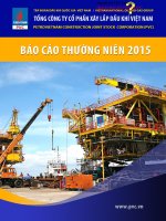 Báo cáo thường niên năm 2015 - Tổng Công ty cổ phần Xây lắp Dầu khí Việt Nam