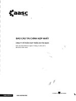 Báo cáo tài chính hợp nhất năm 2013 (đã kiểm toán) - Công ty cổ phần Phát triển Khu Công nghiệp Tín Nghĩa