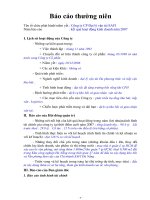 Báo cáo thường niên năm 2007 - Công ty Cổ phần Đại lý Vận tải SAFI