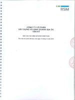 Báo cáo tài chính năm 2015 (đã kiểm toán) - Công ty Cổ phần Xây dựng và Kinh doanh Địa ốc Tân Kỷ