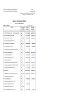 Báo cáo tài chính quý 1 năm 2010 - Công ty Cổ phần Xây lắp Đường ống Bể chứa Dầu khí