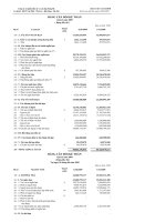 Báo cáo tài chính quý 2 năm 2009 - Công ty Cổ phần Đầu tư và Xây lắp Sông Đà