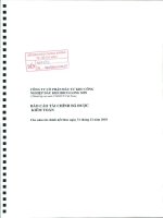 Báo cáo tài chính công ty mẹ năm 2010 (đã kiểm toán) - Công ty cổ phần Đầu tư Xây dựng Thương mại Dầu khí-IDICO