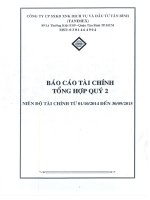 Báo cáo tài chính hợp nhất quý 2 năm 2015 - Công ty cổ phần Sản xuất Kinh doanh Xuất nhập khẩu Dịch vụ và Đầu tư Tân Bình