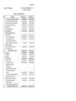 Báo cáo tài chính quý 4 năm 2008 - Công ty Cổ phần Xuất nhập khẩu Sa Giang