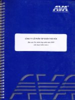 Báo cáo tài chính hợp nhất quý 3 năm 2009 - Công ty Cổ phần Tập đoàn Thái Hòa Việt Nam