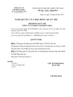 Nghị quyết Hội đồng Quản trị - Công ty Cổ phần Tập đoàn Sara