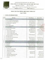 Báo cáo tài chính hợp nhất quý 4 năm 2009 - Tổng Công ty cổ phần Xây lắp Dầu khí Việt Nam