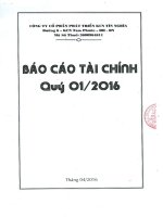 Báo cáo tài chính công ty mẹ quý 1 năm 2016 - Công ty cổ phần Phát triển Khu Công nghiệp Tín Nghĩa