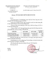 Báo cáo tài chính quý 1 năm 2010 - Công ty Cổ phần Đầu tư và Phát triển giáo dục Phương Nam