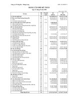 Báo cáo tài chính công ty mẹ quý 1 năm 2009 - Công ty cổ phần Sông Đà - Thăng Long