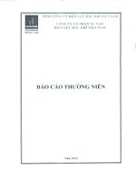 Báo cáo thường niên năm 2013 - Công ty cổ phần Tư vấn Điện lực Dầu khí Việt Nam