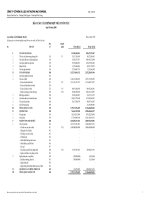 Báo cáo tài chính hợp nhất quý 3 năm 2008 - Công ty TNHH Một thành viên Vinpearl