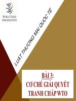 Bài giảng luật thương mại quốc tế  bài 3  DSU cơ chế giải quyết tranh chấp WTO