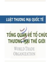 Luật thương mại quốc tế bai 2 tổng quan về tổ chức thương mại thế giới tong quan WTO