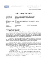 Báo cáo thường niên năm 2007 - Tổng Công ty Hóa dầu Petrolimex-CTCP