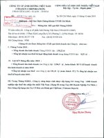 Báo cáo KQKD quý 3 năm 2010 - Công ty Cổ phần Ánh Dương Việt Nam