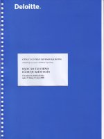 Báo cáo tài chính năm 2008 (đã kiểm toán) - Công ty Cổ phần Tập đoàn Đại Dương