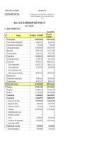 Báo cáo tài chính hợp nhất quý 1 năm 2009 - Tổng công ty Cổ phần Xây dựng điện Việt Nam