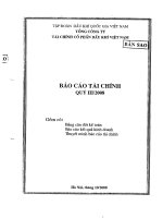 Báo cáo tài chính quý 3 năm 2008 - Tổng Công ty Tài chính Cổ phần Dầu khí Việt Nam