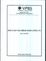 Báo cáo tài chính quý 1 năm 2015 - Công ty TNHH Chứng khoán Ngân hàng TMCP Việt Nam Thịnh Vượng