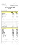 Báo cáo tài chính hợp nhất quý 3 năm 2008 - Tổng công ty Cổ phần Xây dựng điện Việt Nam