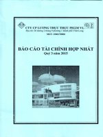 Báo cáo tài chính hợp nhất quý 3 năm 2015 - Công ty Cổ phần Lương thực Thực phẩm Vĩnh Long