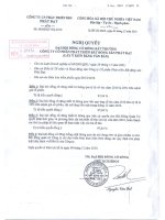 Nghị quyết Đại hội cổ đông bất thường ngày 9-12-2010 - Công ty cổ phần Phát triển Bất động sản Phát Đạt