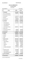 Báo cáo tài chính hợp nhất quý 1 năm 2009 - Công ty Cổ phần Thép Việt Ý