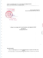 Báo cáo tài chính hợp nhất quý 2 năm 2010 (đã soát xét) - Công ty Cổ phần Đầu tư và Xây dựng Cấp thoát nước