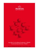 Báo cáo thường niên năm 2009 - Quỹ Đầu tư Cân bằng Prudential