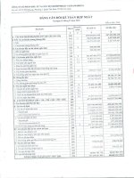 Báo cáo tài chính hợp nhất quý 4 năm 2010 - Công ty Cổ phần Đầu tư và Xây dựng Cấp thoát nước