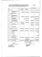 Báo cáo KQKD công ty mẹ quý 4 năm 2010 - Công ty Cổ phần Bất động sản Du lịch Ninh Vân Bay