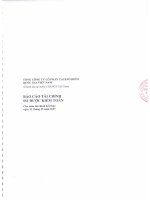 Báo cáo tài chính năm 2007 - Tổng Công ty Cổ phần Tái bảo hiểm quốc gia Việt Nam