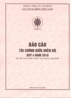 Báo cáo tài chính công ty mẹ quý 4 năm 2010 - Tổng công ty Cổ phần Xây dựng điện Việt Nam