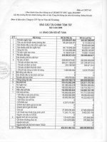 Báo cáo tài chính quý 3 năm 2009 - Công ty Cổ phần VICEM Vật tư Vận tải Xi măng