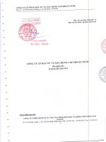 Báo cáo tài chính công ty mẹ quý 2 năm 2010 (đã soát xét) - Công ty Cổ phần Đầu tư và Xây dựng Cấp thoát nước