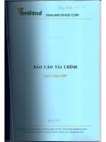 Báo cáo tài chính quý 1 năm 2009 - Công ty cổ phần Đầu tư Bất động sản Việt Nam