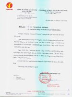 Nghị quyết Hội đồng Quản trị ngày 24-2-2011 - Tập đoàn Vingroup - Công ty Cổ phần