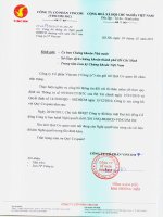 Nghị quyết Đại hội cổ đông thường niên năm 2011 - Tập đoàn Vingroup - Công ty Cổ phần