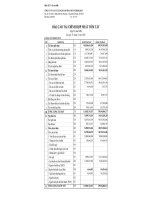 Báo cáo tài chính hợp nhất quý 4 năm 2008 - Công ty Cổ phần Vận tải Xăng dầu Đường thủy Petrolimex