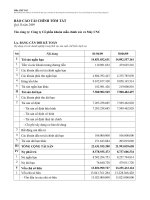 Báo cáo tài chính quý 2 năm 2009 - Công ty cổ phần Sản xuất, Thương mại và Dịch vụ ôtô PTM