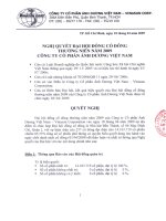 Nghị quyết đại hội cổ đông ngày 18-04-2009 - Công ty Cổ phần Ánh Dương Việt Nam