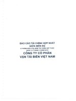 Báo cáo tài chính hợp nhất quý 2 năm 2015 (đã soát xét) - Công ty Cổ phần Vận tải biển Việt Nam