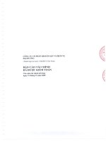 Báo cáo tài chính năm 2009 (đã kiểm toán) - Công ty Cổ phần Khách sạn và Dịch vụ Đại Dương