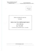 Báo cáo tài chính hợp nhất quý 1 năm 2008 - Công ty Cổ phần Sữa Việt Nam